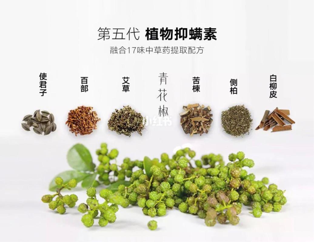 告别螨虫烦恼 从草本除螨到无硅油洗发，全面守护你的头皮与肌肤